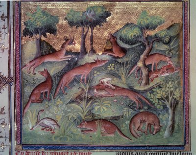 Caza de zorros y aves de corral. Miniatura del manuscrito “El libro de la caza” (folio 34v) por Gaston Phoebus (1331-1391) conocido como Gaston III Conde de Foix de Unknown artist