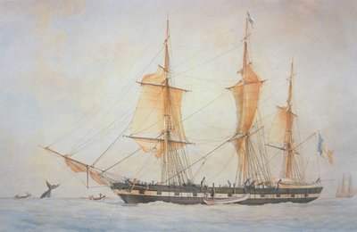 Barco ballenero francés, c.1845 de Unknown artist