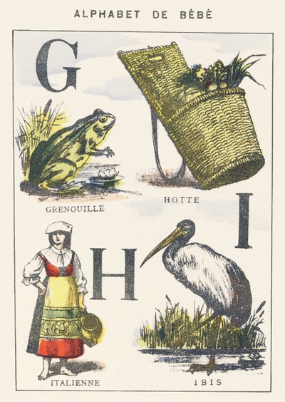 G H I: rana, capucha, italiano, ibis de Unknown artist