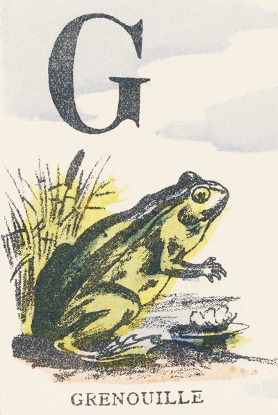 G: rana de Unknown artist