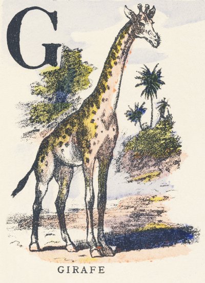 G: jirafa de Unknown artist