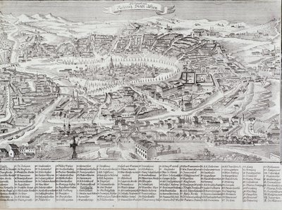 Vista general de la ciudad de Viena con detalle de los principales edificios y monumentos. Austria. Grabado de 1800 Colección privada de Unknown artist
