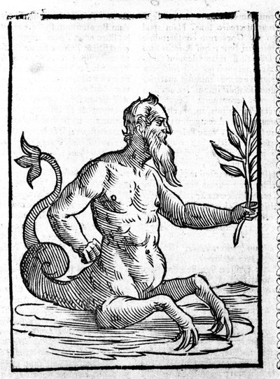 Glaucos con la hierba mágica que le permitirá vivir en el mar - en Mythologiae sive explicationis fabularum de Natalis Comitis. Patavia de Unknown artist