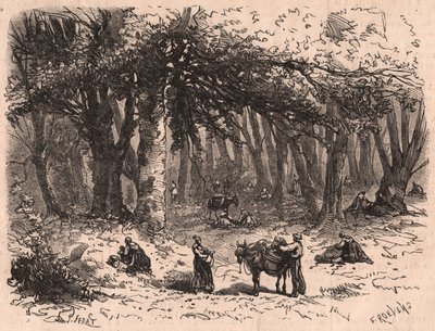 Grupo de personas recogiendo setas en el bosque de Fontainebleau de Unknown
