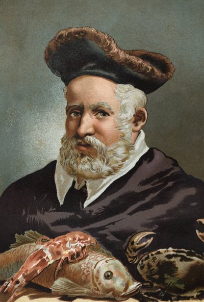 Guillaume Rondelet, naturalista y médico francés. 1507-1566. después de La Ciencia y sus Hombres de Louis Figuier. Barcelona 1881 de Unknown artist