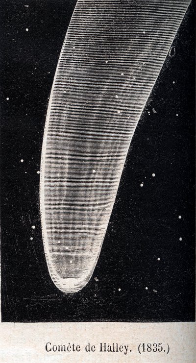 El cometa de Halley 1835 - grabado alrededor de 1867 de Unknown artist