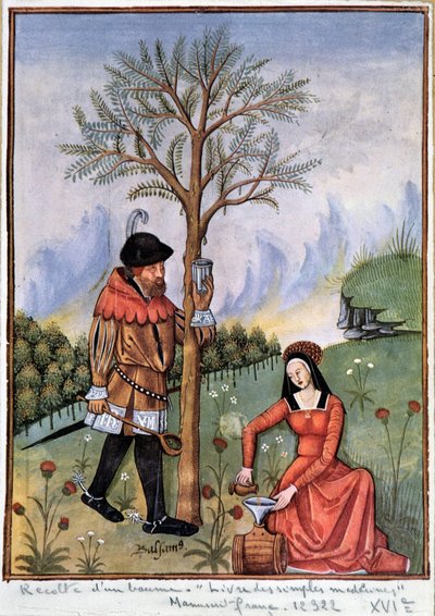 Cosecha de un bálsamo - Libro de medicinas simples de Unknown artist