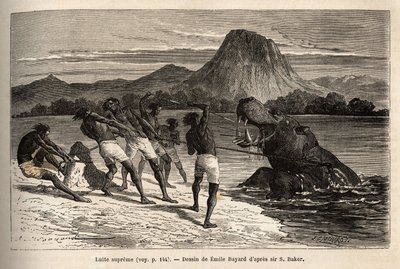 Caza de hipopótamos con la tribu Houarti, con arpones y lanzas, el furioso animal carga y resiste. Grabado para ilustrar la exploración de los afluentes abisinios del Nilo, por Sir Samuel W.Baker, en 1861-62, publicado en “Le tour du monde” 1869. de Unknown artist