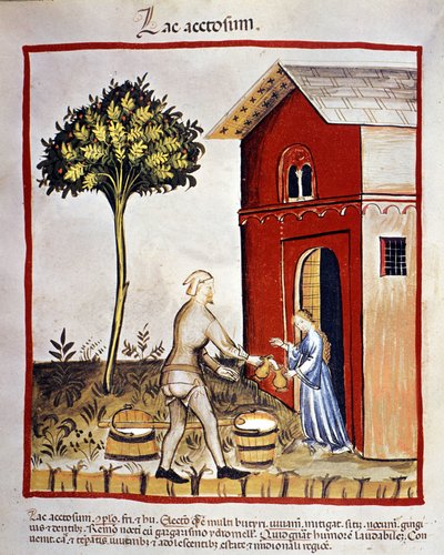 Historia de los productos lácteos: distribución de yogur (acetosium lake). Iluminación del "Tacuinum sanitatis" de Unknown artist