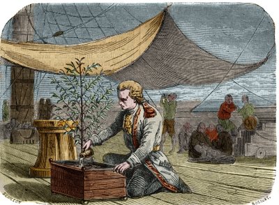 Historia del café: Capitán Gabriel de Clieu (1687/1678- circa 1774), encargado por el Rey Luis XIV en 1725 de traer a Martinica una planta de café, comparte con ella su ración de agua para salvarla de secarse. Grabado. de Unknown artist