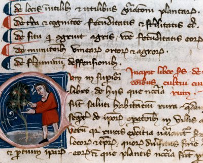 Horticultura: cosecha de frutas. Detalle. Página de manuscrito (MS.s.vi) 