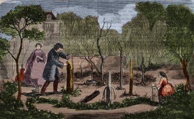 Horticultura: principales métodos de trasplante de plantas. Grabado de 1860 de Unknown artist