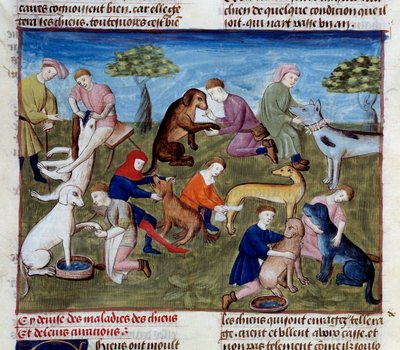 Cómo curar a los perros de caza de enfermedades y lesiones (miniatura) de Unknown artist