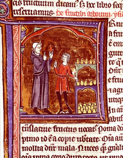 Cómo almacenar peras. Miniatura del manuscrito 