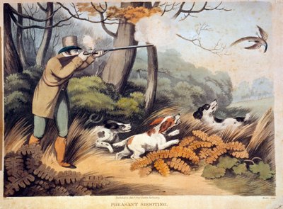 Caza de faisanes en Inglaterra de Unknown artist