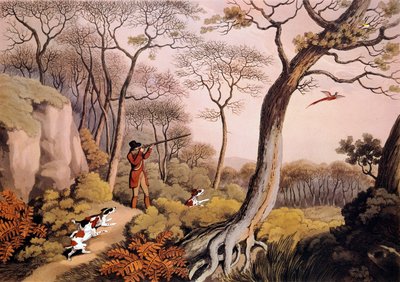 Caza de faisanes en Inglaterra. Grabado del siglo XIX. Gien, museo de caza de Unknown artist