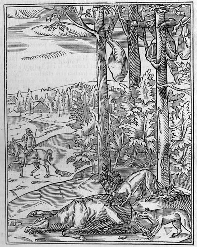 Caza del lobo: la vigía. Facsímil de un grabado en madera del siglo XVI. Grabado en “La Nature: revue des sciences et de leurs aplicaciones aux arts et a l