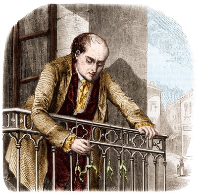 Ilustración de experimentos de Luigi Galvani, físico y médico italiano (1737-1798) con ranas de Unknown artist