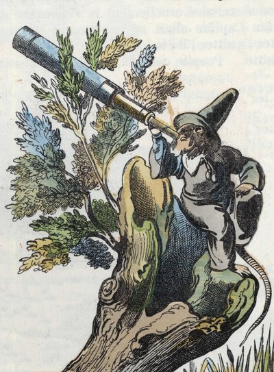 Ilustración del cuento "El terrible Raminagrobis y los ratones". En "Cuentos del hogar para los pequeños". Grabado anónimo del siglo XIX. de Unknown artist