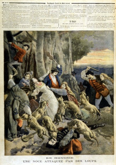 En Hungría: una boda atacada por lobos - en “Le Petit Journal” del 23/12/1894 de Unknown artist