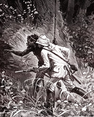 En los campos de caucho (Hevoea) de la selva de Guyana de Unknown artist