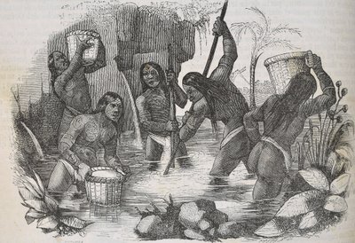 Indios de la Isla de La Española buscando oro de Unknown artist