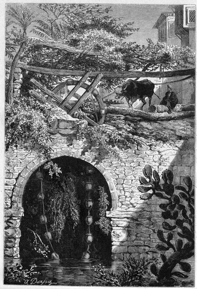 Irrigación en Egipto: un buey gira una rueda alrededor de la cual están envueltos cubos. Grabado en “Le Monde Illustré” n°1313 del 27 de mayo de 1882 de Unknown artist