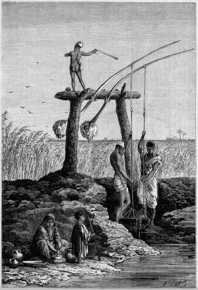 Irrigación en Egipto: chadoufs (o shadoufs) en las orillas del Nilo. Grabado en “Le Monde Illustré” n°1313 del 27 de mayo de 1882. de Unknown artist