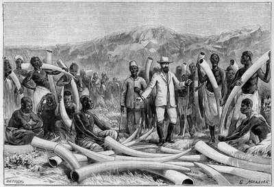 Marfil en África: defensas de elefante recolectadas por Emin Pacha (Eduard Schnitzer, conocido como Mohammed Emin Pacha) de Unknown artist