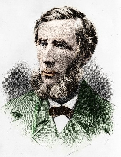 John Tyndall (1820-1893), físico irlandés de Unknown artist