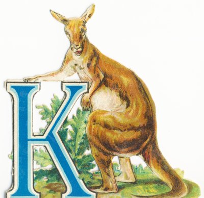 K: Canguro de Unknown artist