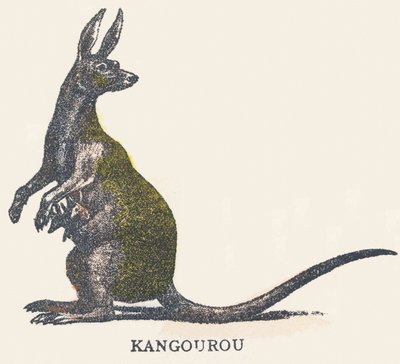K: canguro de Unknown artist