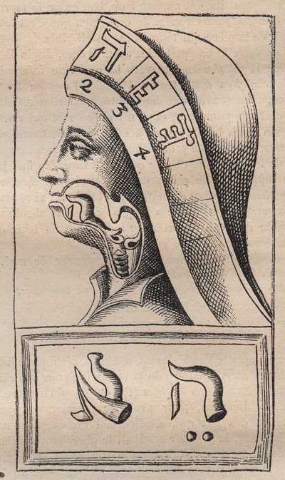 Cábala - Ilustración de: “Alphabeti vere naturalis Hebraici brevissima delineatio” (El Alfabeto de la Naturaleza) de Franciscus Mercurius van Helmont (1618-1699) - En esta obra, van Helmont afirmó que cada letra de Unknown artist
