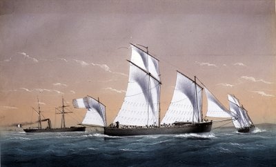 La Flota universal - en "Marines hacia 1850" de Unknown artist