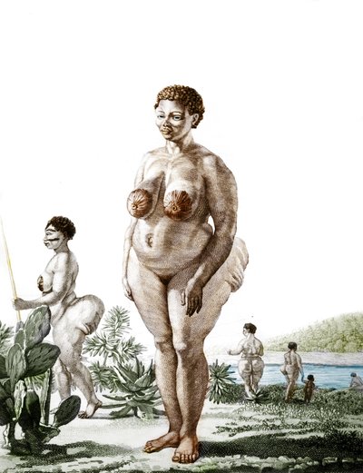 La Venus Hotentote, mujer de la raza Bochiman, grabado de 1815. de Unknown artist