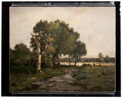 Paisaje, c.siglo XIX (óleo sobre lienzo) de Unknown artist