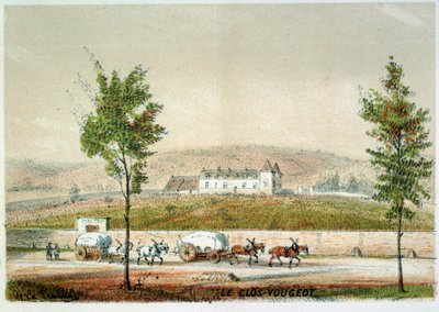 Le clos Vougeot, viñedo de Cote d