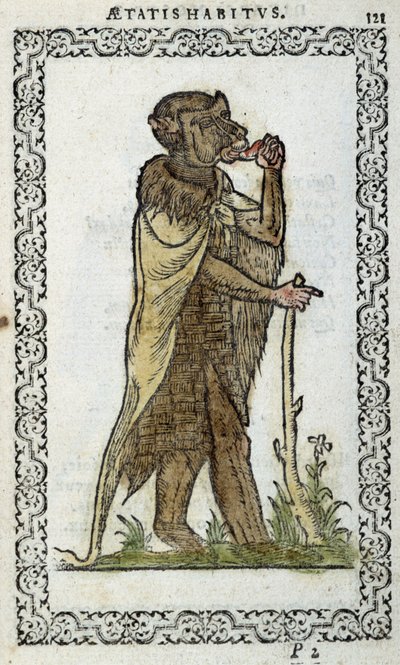 Le monge debout - en “Habits et effigies” por Jean Sulperius de Unknown artist