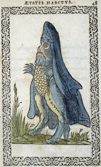 El enesque de mar - en “Hábitos y efigies” de Jean Sluperius de Unknown artist