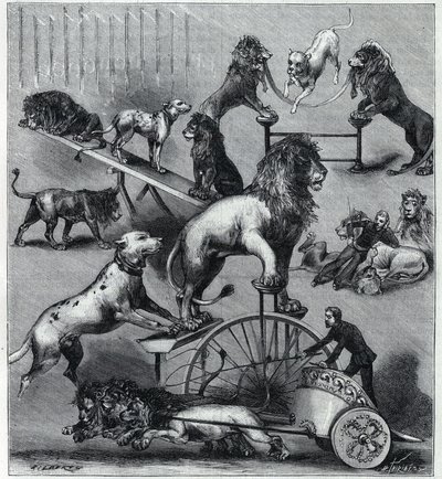 Los leones amaestrados del Nuevo Circo en París: diferentes trucos de un número acrobático con leones, domadores y perros. Grabado en “La Nature” 1890. Colección privada. de Unknown artist