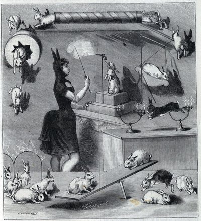 Los conejos vestidos del Nouveau Cirque en París: domador en traje de conejo enseñando los diferentes números al animal. Grabado en "La Nature" 1890. Colección privada. de Unknown artist