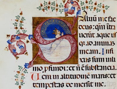 Letra S: David en la Luz Profunda - Antifonario del siglo XV. Biblioteca Municipal de Rimini. de Unknown artist