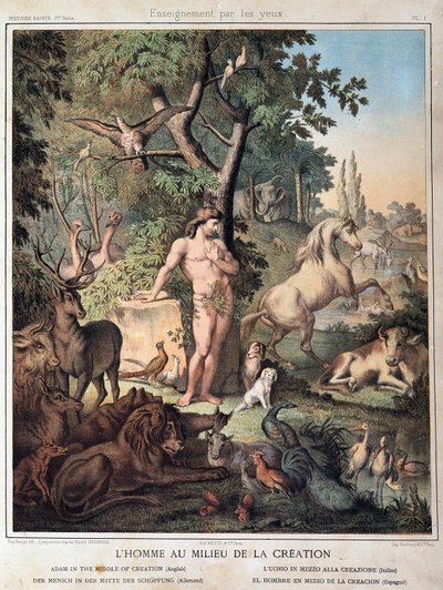 El hombre en medio de la Creación - en “Histoire Sainte”, ed. Hachette de Unknown artist