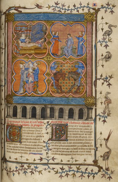 Vida de Julio César: cuatro miniaturas que muestran su nacimiento, divorcio, pontificado y lucha con Pompeyo; texto con iniciales decoradas y orla con aves y grotescos. de Unknown artist