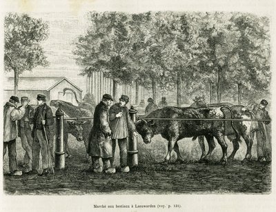 Ganado caminando en Leeuwarden (Países Bajos). Grabado para ilustrar la historia La Frisia, basada en una relación de un periódico holandés, en Le Tour du monde 1886, dirigido por Edouard Charton (1807-1890), Hachette, París. de Unknown artist