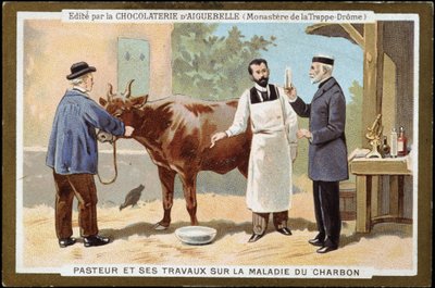 Louis Pasteur y su trabajo sobre la enfermedad del carbón - etiqueta publicitaria de Chocolats d