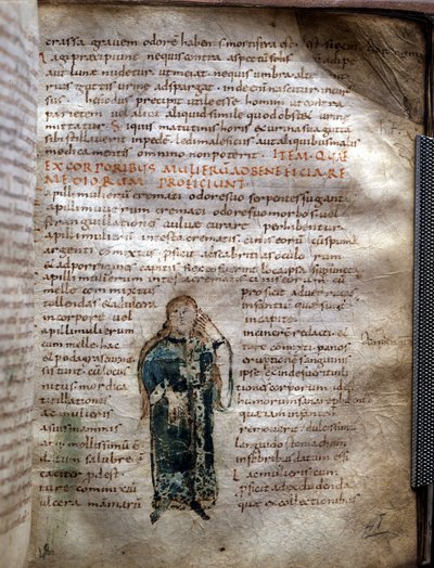 Página de manuscrito extraída de "De simplicibus medicamentis" de Claudio Galeno (v. 131 - v. 201), médico griego. Governativa de Lucca de Unknown artist