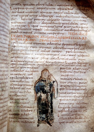 Página de manuscrito de “De simplicibus medicamentis” de Claude Galien (Klaudios Galenos o Claudio Galeno o Claudius Galenus o Galeno, v. 131 - v. 201). Siglo VIII o IX. Gobernativa de Lucca. de Unknown artist