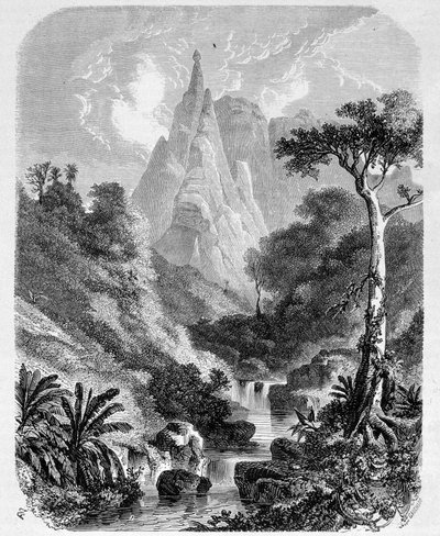 Mauricio: el Peter-Booth - en "Le Tour du Monde", 2ª semana 1861 de Unknown artist