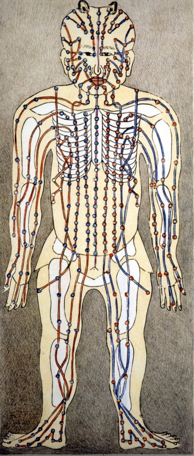 Medicina. Diagrama del cuerpo humano de un tratado de acupuntura. Biblioteca privada, Milán de Unknown artist